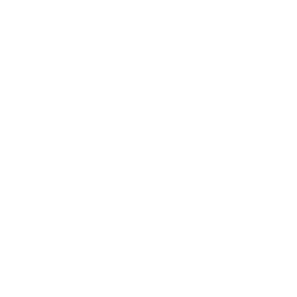 Lentes Mormaii